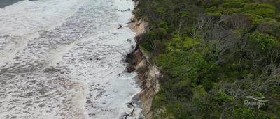 Person in a forest, sunlight through trees.
