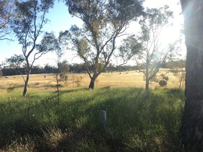 Header image: Yandoit landscape, green hills, blue sky, road, and trees.