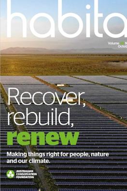 Header image: Lush green forest canopy, sunlight filtering through leaves.