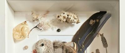 A painting of a bird, titled "Memories of Lost Birds," by Tadhg.