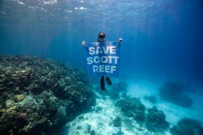 Coral reef with diverse marine life, including fish and coral formations.