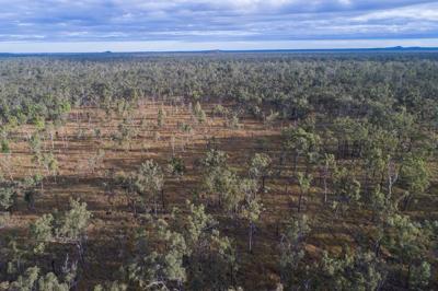 Aerial view of a lush green forest canopy, with a river winding through it.