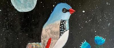 Diamond Firetail bird perched on a branch, facing left.