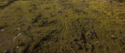 Aerial view of cleared land, Queensland, Australia. Patches of trees remain amidst cleared areas.