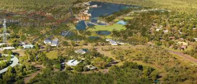 Jabiru bird in landscape, wetlands, tall grass, blue sky, distant trees.