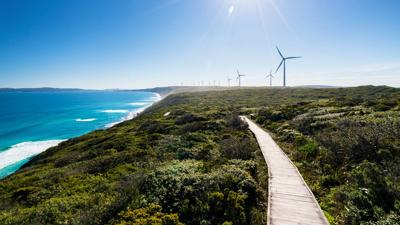 Green canopy of trees, sunlight filtering through leaves.