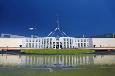 Header image: Green canopy, sunlight filtering through leaves, blurred background.