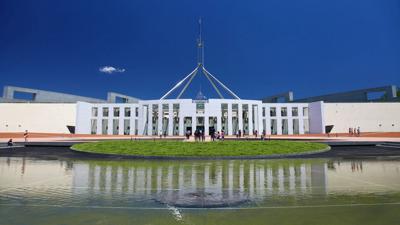 Header image: Green canopy, sunlight filtering through leaves, blurred background.