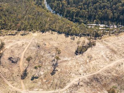Drone view: Lush green valley, winding river, forested hills.