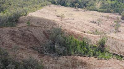 Land clearing in Nandewar, Australia. Trees felled, brown earth, sky.