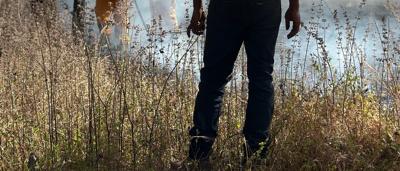 A person in a field, holding a camera, taking a photo of a tree.