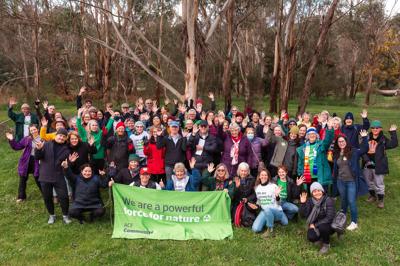Header image: Green canopy of trees, blue sky visible. Text: "Blog