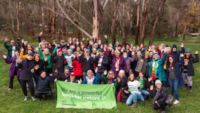 Header image: Green canopy of trees, blue sky visible. Text: "Blog