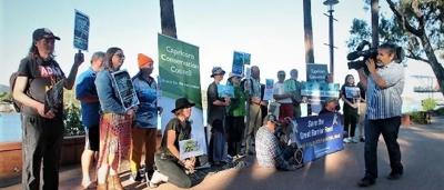 Sailboats racing on water, sunny day.