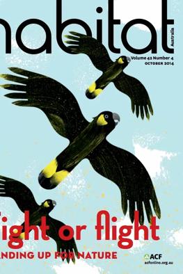 Header image: Lush green forest canopy, sunlight filtering through leaves.