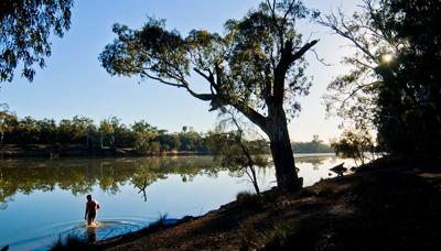 Man in Murray River, wide shot, blue water, sunny day.