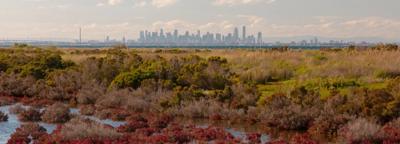 City skyline at dusk, illuminated buildings, dark sky.