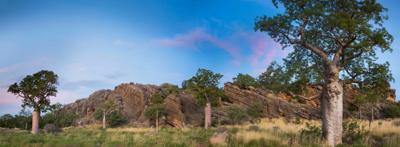 Kimberley landscape, red earth, green vegetation, blue sky.