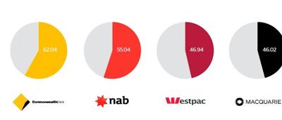 Banksia flower spikes, orange and yellow, against green foliage.