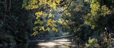 A person in a yellow jacket stands near a large, colorful mural.