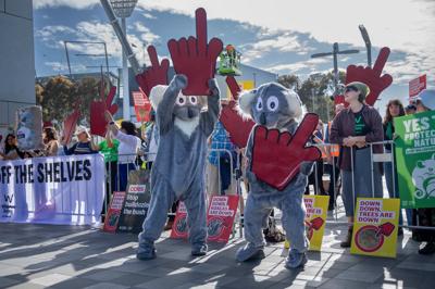 Protest outside Coles AGM 2024. People holding signs, police presence.