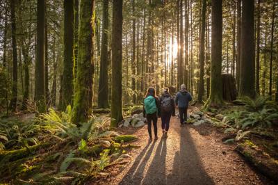 Multi-ethnic family hiking forest trail, father, daughters, sunlight.