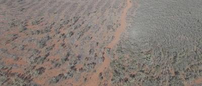 Byrock land clearing case from CSI 2026 1