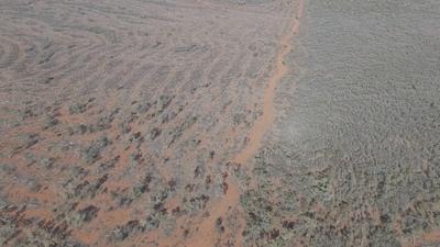 Byrock land clearing case from CSI 2026 1