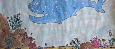 Whale shark, Lexi, swimming underwater. Large, spotted fish.