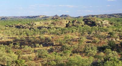 Kakadu National Park landscape, header image. Bette Devine.