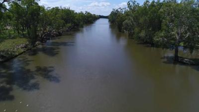 Suttor River landscape, wide view. Green vegetation, water, and blue sky.