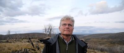 Bogong moth on alpine trapping equipment, close-up.