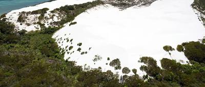 Aerial view of Shelburne, Nova Scotia, with buildings, harbor, and coastline.