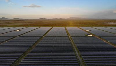 Header image: REX blog title, green canopy, and a stylized tree silhouette.