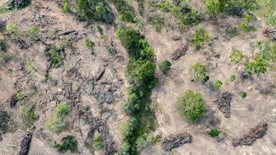 Wyaralong QLD DJI_0417