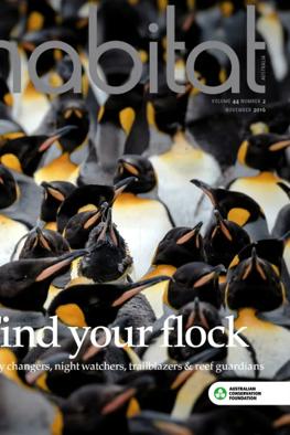 Header image: Lush green forest canopy, sunlight filtering through leaves.