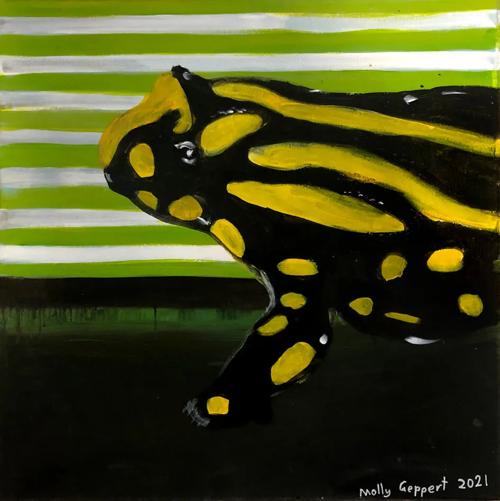 Southern Corroboree Frog — artwork by Molly, age 8.