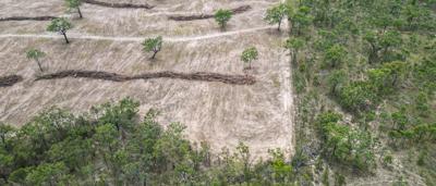 DRONE PHOTO Warwick QLD Land Clearing Drone Aerial DJI_0119