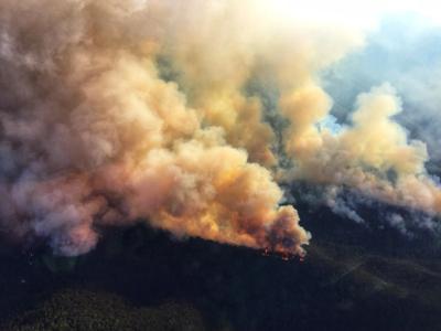 Bushfire smoke over a landscape, orange sky, trees in silhouette.