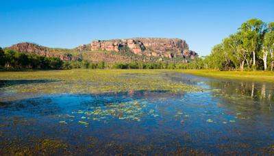 Kakadu National Park header image: lush green landscape, water, and mountains under a blue sky.