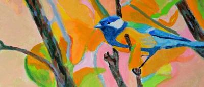 Blue-breasted fairy-wren perched on a branch, vibrant blue plumage, Australia.