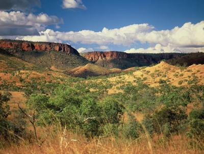 South Kimberley landscape. Red earth, green vegetation, blue sky, distant hills.