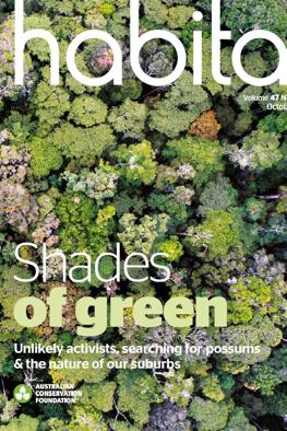 Header image: Lush green forest canopy, sunlight filtering through leaves.