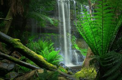 Waterfall cascading over rocks, lush green foliage surrounds.