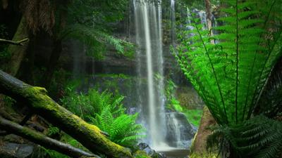 Waterfall cascading over rocks, lush green foliage surrounds.