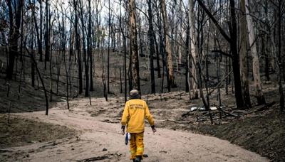 Fiery sunset over a landscape with trees and a body of water.