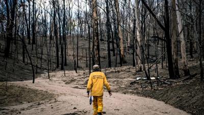 Fiery sunset over a landscape with trees and a body of water.
