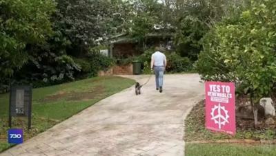 Stickers on a white background, various shapes and colors, some with text.