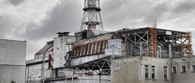 Green tree canopy, sunlight filtering through leaves.