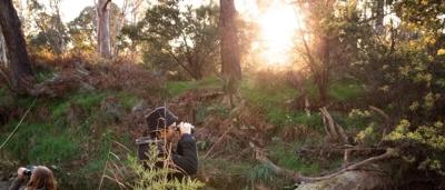 Platyspotting, Cathy Ronalds, MAPgroup, image of a colorful coral reef with fish.